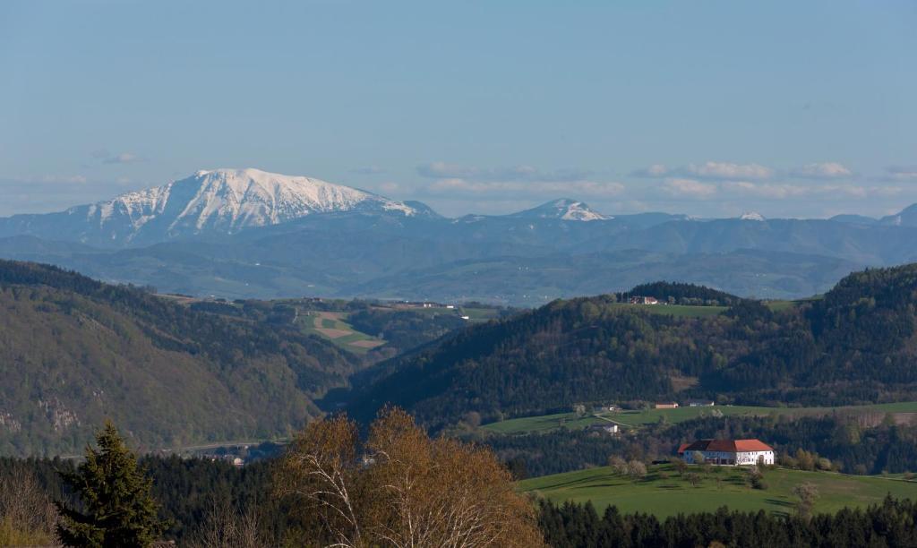 Gasthof Schiefer Zur Zugbrücke Kreuzen  Habitación foto